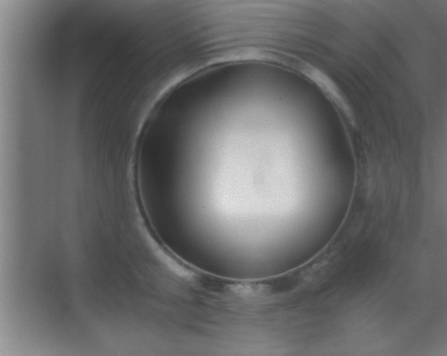 X0000069830805200605261839