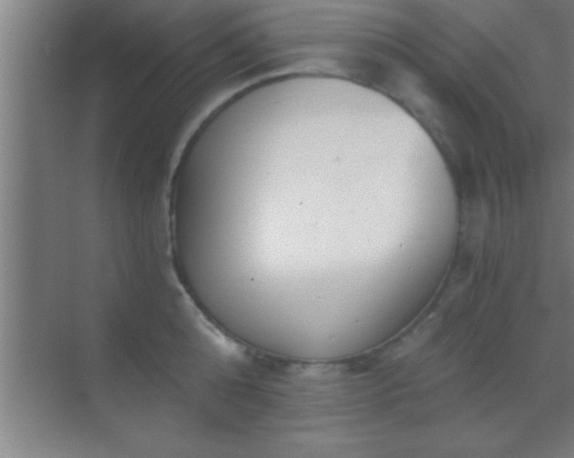 X0000069830808200605261839