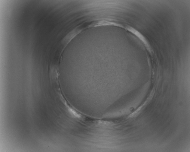 X0000069830809200605261839