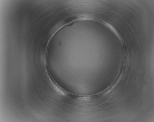 X0000069830810200605261839