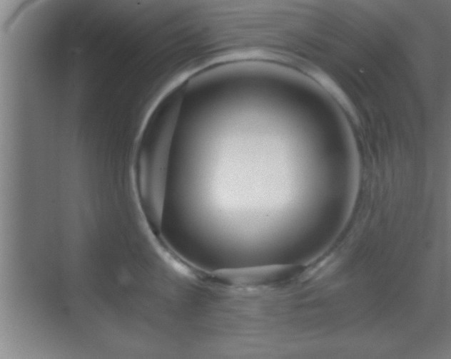 X0000069830813200605261839