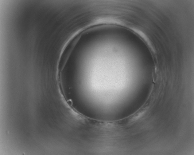 X0000069830815200605261839