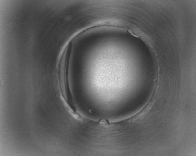 X0000069830816200605261839