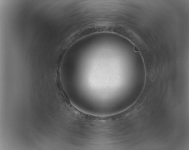 X0000069830821200605261838