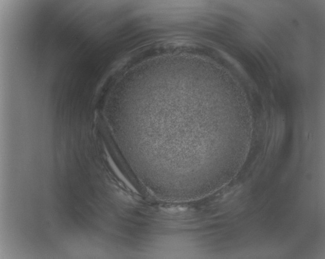 X0000069830823200605261838