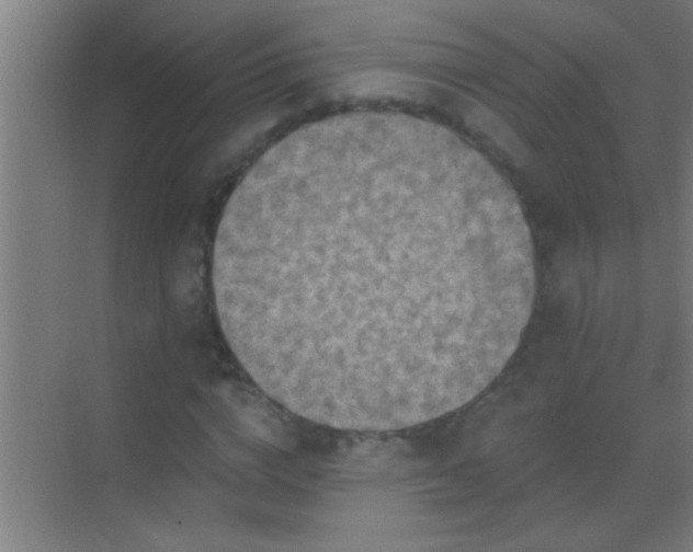 X0000069830824200605261838