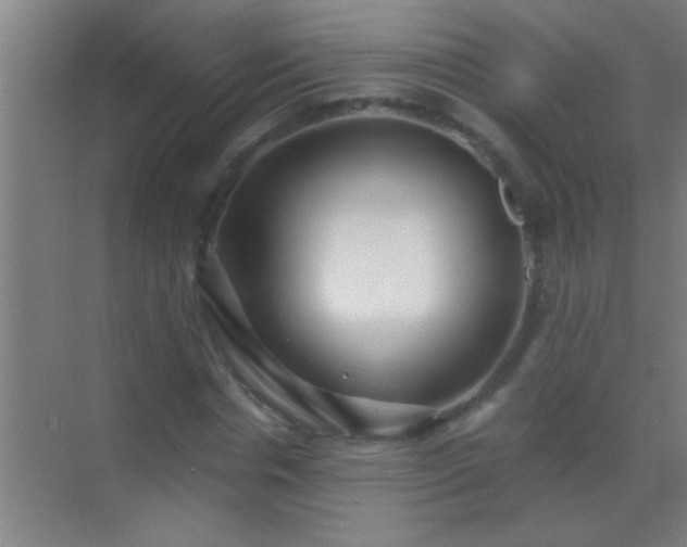 X0000069830826200605261838