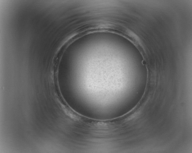 X0000069830827200605261839