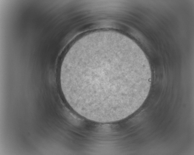 X0000069830828200605261839