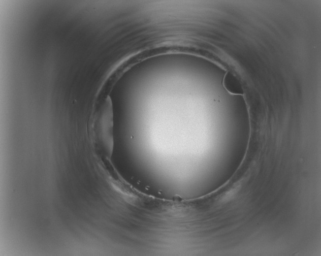 X0000069830830200605261839