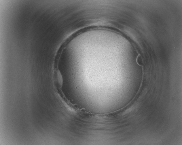 X0000069830831200605261839