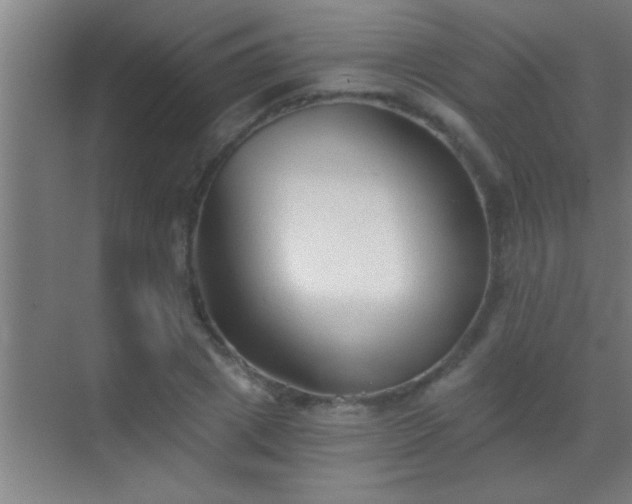 X0000069830833200605261839