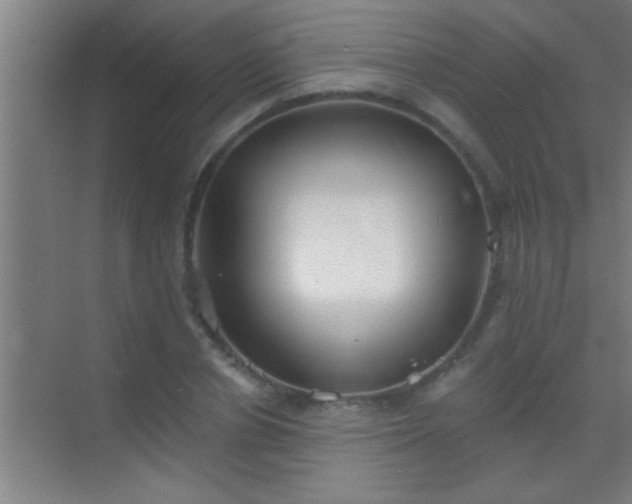 X0000069830834200605261839