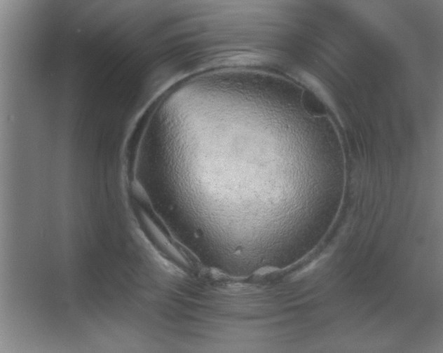 X0000069830835200605261839