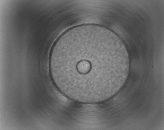 X0000069830836200605261839