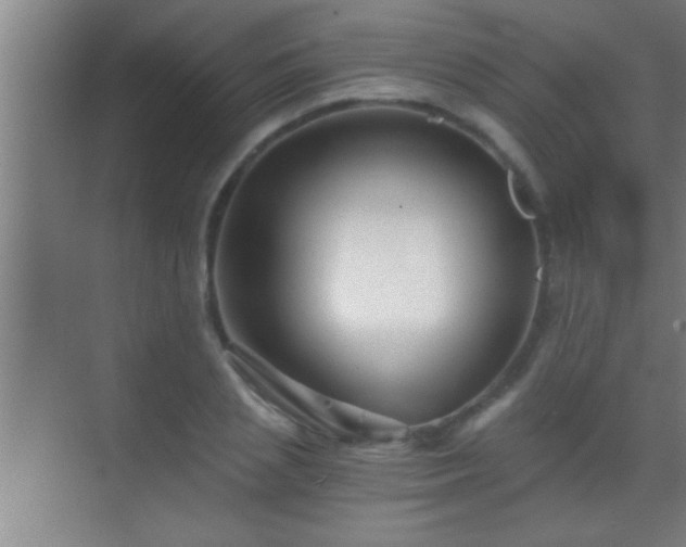 X0000069830837200605261839