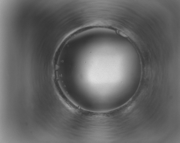 X0000069830838200605261839