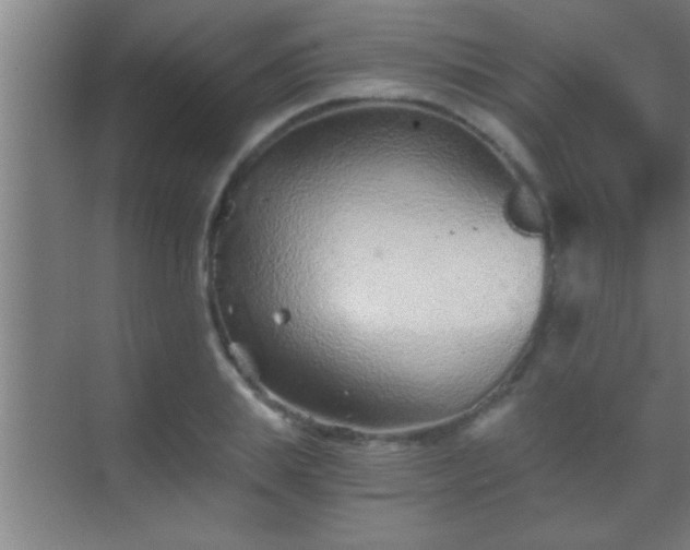 X0000069830839200605261839