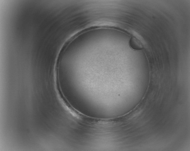 X0000069830840200605261839