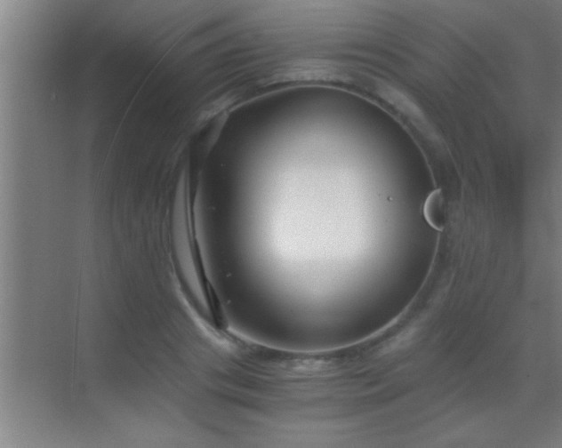 X0000069830841200605261839