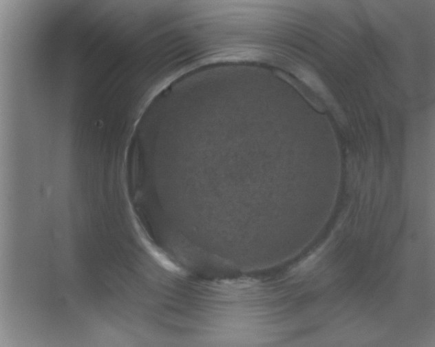 X0000069830842200605261839