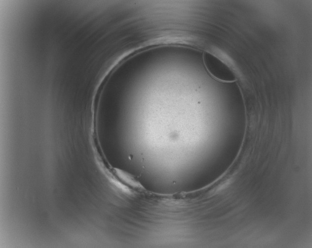 X0000069830844200605261839