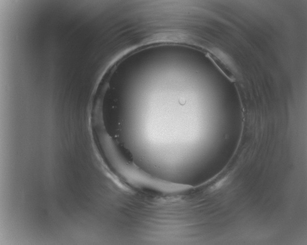 X0000069830846200605261839