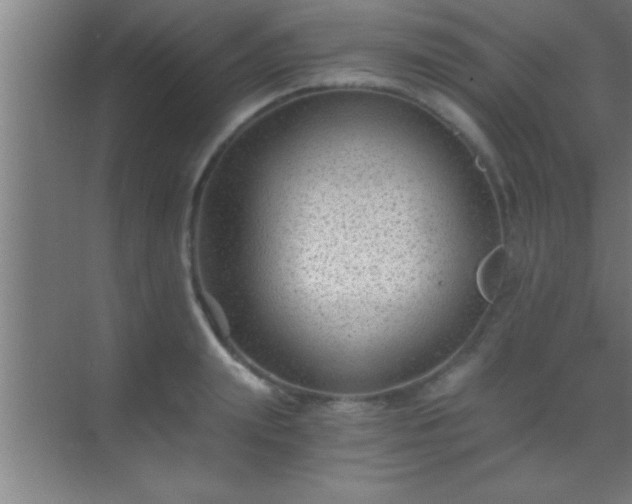 X0000069830847200605261839