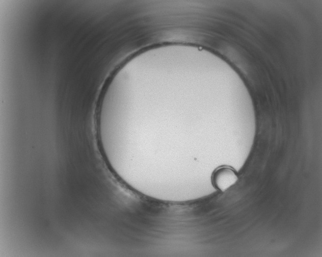 X0000069830848200605261839