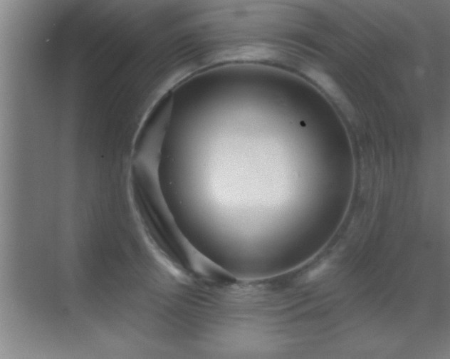 X0000069830850200605261839