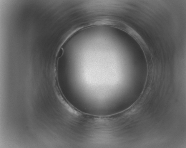 X0000069830852200605261839