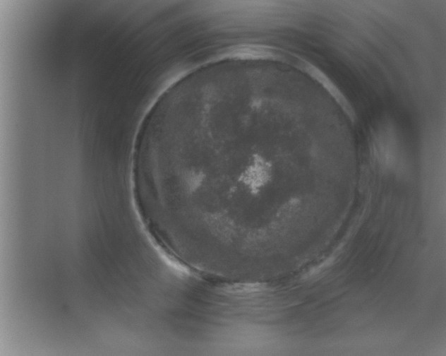 X0000069830853200605261839