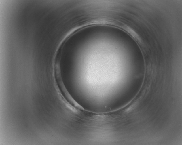 X0000069830854200605261839