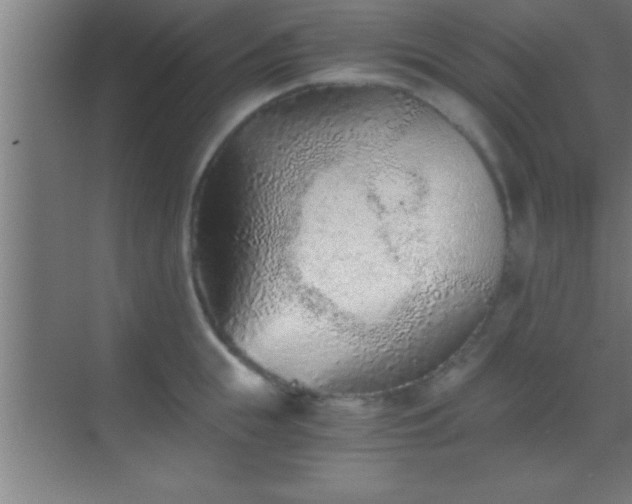 X0000069830855200605261839