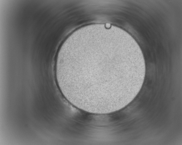 X0000069830856200605261839