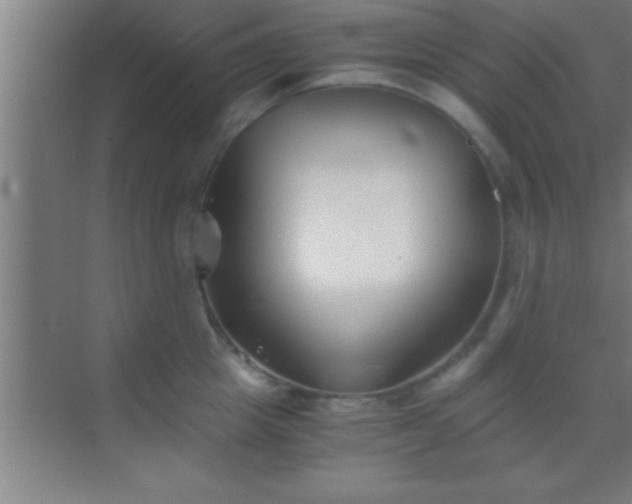 X0000069830857200605261839