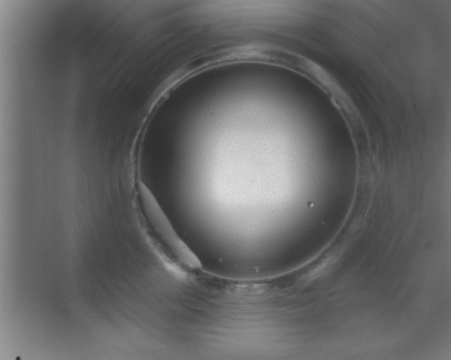 X0000069830858200605261839