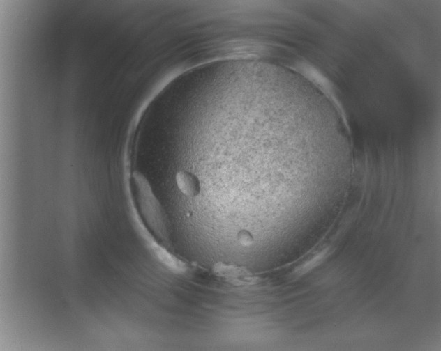 X0000069830859200605261839