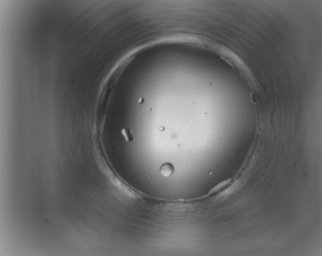 X0000069830860200605261839