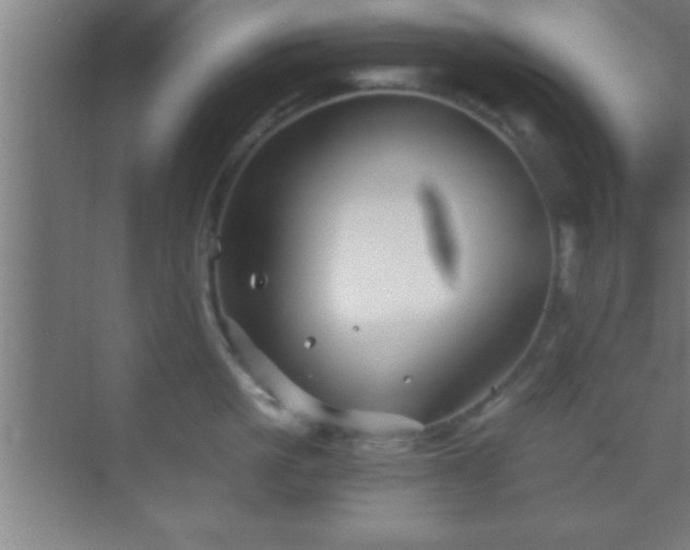 X0000069830861200605261839