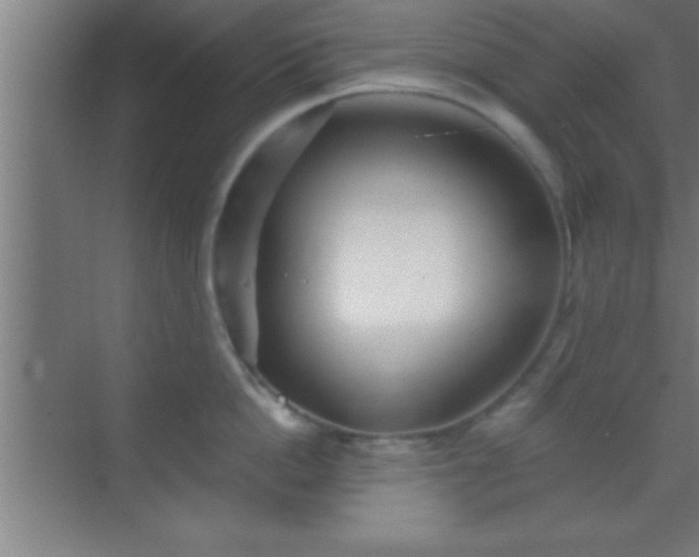 X0000069830862200605261839