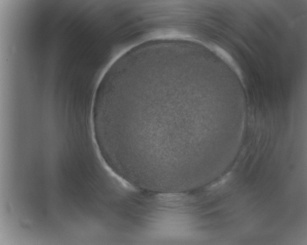 X0000069830863200605261839