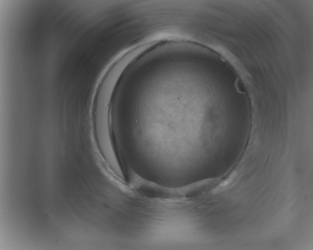 X0000069830864200605261839