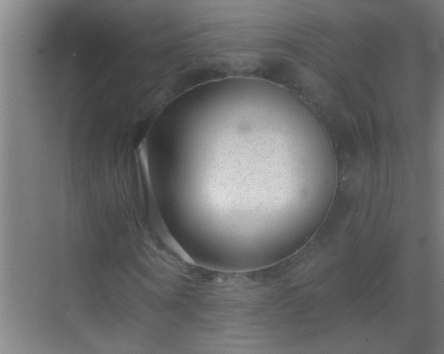 X0000069830866200605261838