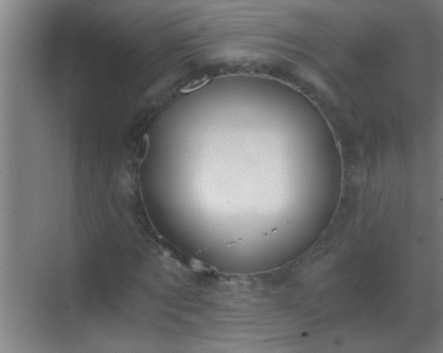 X0000069830869200605261838