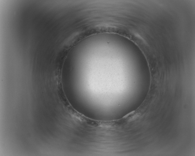 X0000069830870200605261838