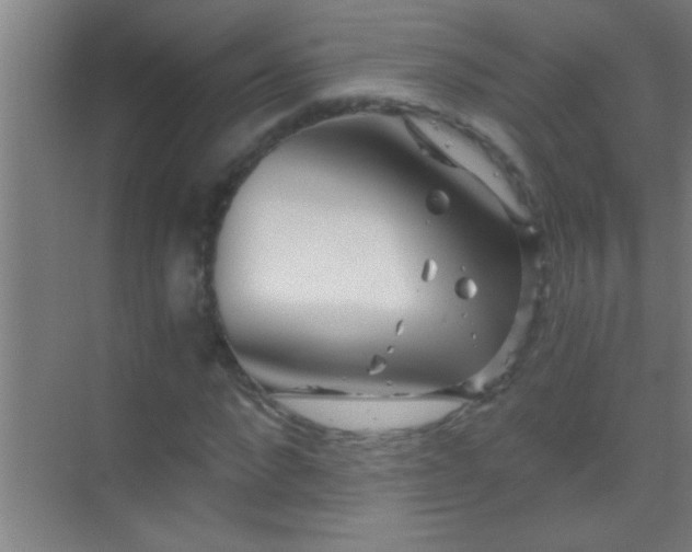 X0000069830872200605261838