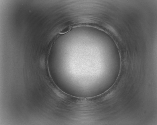 X0000069830873200605261838