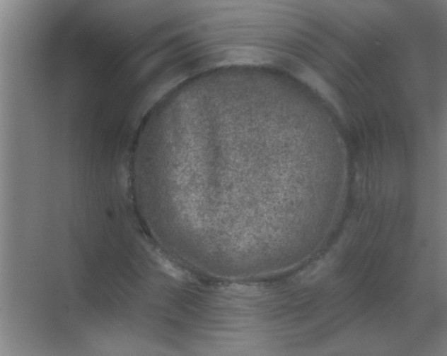 X0000069830874200605261838