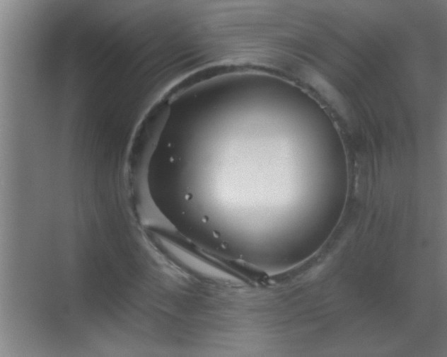 X0000069830876200605261838